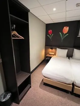 Standard double/twin room in basement