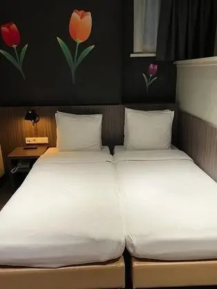 Standard double/twin room in basement