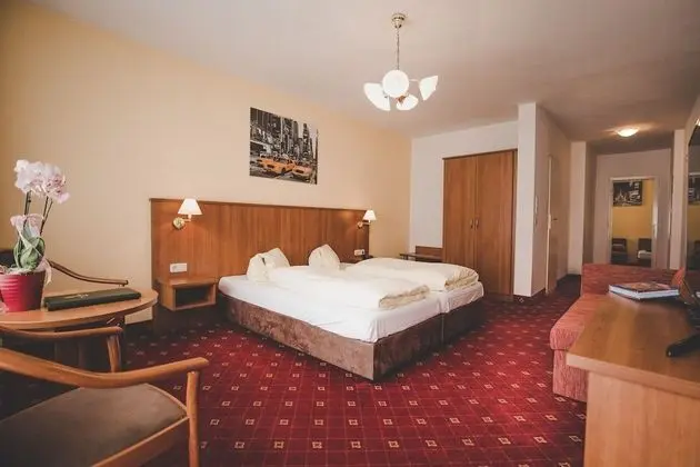 Panoramic Tek Büyük Yataklı Oda