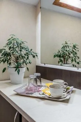 Standard Tek Büyük veya İki Ayrı Yataklı Oda