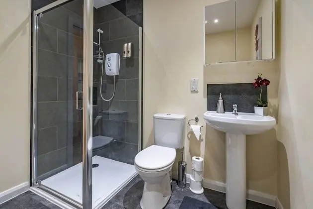 Deluxe Apart Daire, Özel Banyo (QR4)