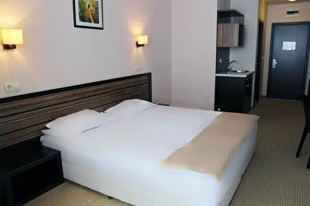 Standard Tek Büyük Yataklı Oda, Dağ Manzaralı