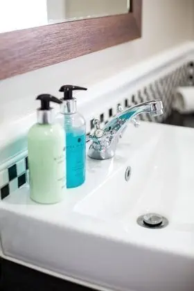 Superior Oda, 2 Tek Kişilik Yatak (Indlovu Lodge)