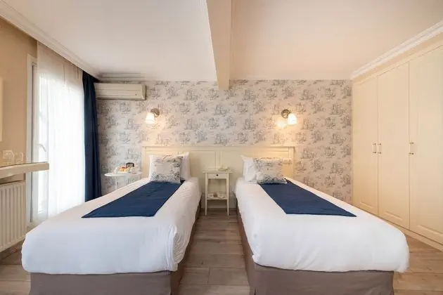 Deluxe Tek Büyük Yataklı Oda (or twin)