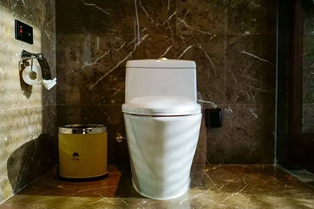 Deluxe Tek Büyük Yataklı Oda, 1 Büyük (Queen) Boy Yatak