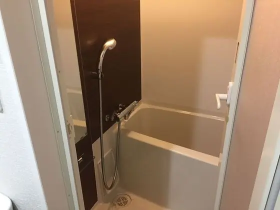 Standard Tek Büyük Yataklı Oda, 1 Çift Kişilik Yatak