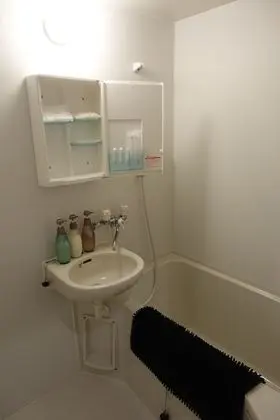 Standard Tek Büyük Yataklı Oda, 1 Çift Kişilik Yatak, Sigara İçilmez, Özel Banyo