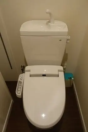 Standard Tek Büyük Yataklı Oda, 1 Çift Kişilik Yatak, Sigara İçilmez, Özel Banyo