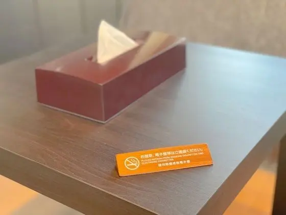 Deluxe Süit, Sigara İçilmez (Family)