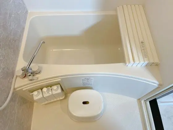 Deluxe Süit, Sigara İçilmez (Family)