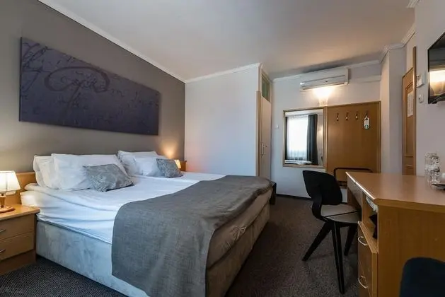 Standard Tek Büyük Yataklı Oda (Loft)