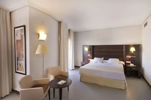 Elite Tek Büyük Yataklı Oda (2 pax)