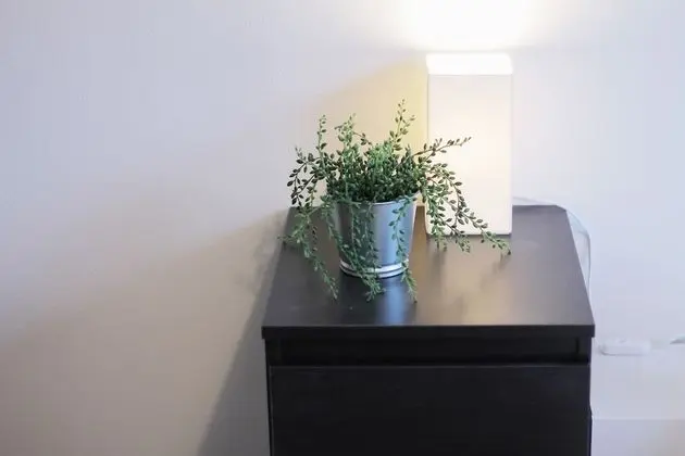 Daire, 1 Yatak Odası (301)