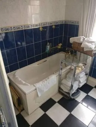 Tek Büyük Yataklı Oda, Bahçe Manzaralı (Laminate Floor)