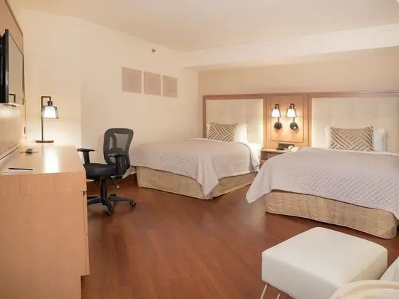 Executive Süit, 2 Çift Kişilik Yatak (Junior)