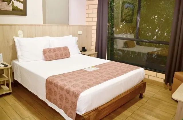 Standard Tek Büyük Yataklı Oda, 1 Çift Kişilik Yatak