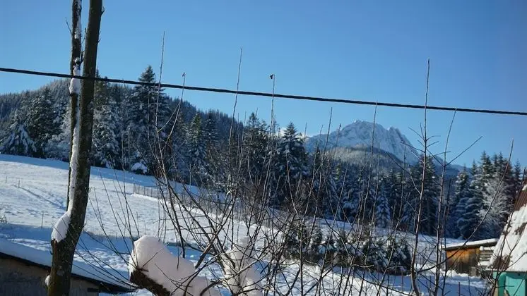 Apart Daire (Honeymoon 1)