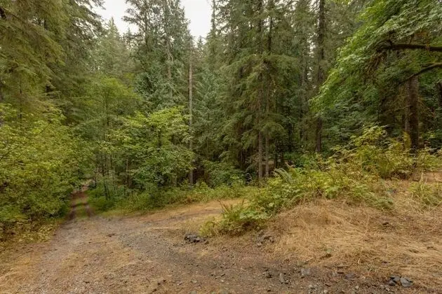 Ev