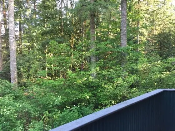 Ev