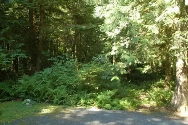 Ev