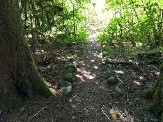 Ev