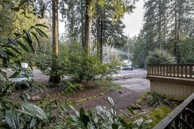 Daire (1 Bedroom)