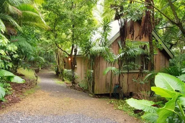 Kır Evi, 1 Yatak Odası, Sigara İçilmez, Mutfak (Yellow Robin)