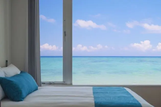 Luxury İki Ayrı Yataklı Oda, Sigara İçilmez (201-SESOKO)