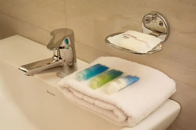 Deluxe Tek Büyük veya İki Ayrı Yataklı Oda