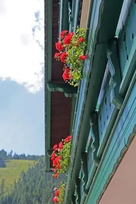 Traditional Apart Daire, 1 Yatak Odası, Balkon, Dağ Manzaralı