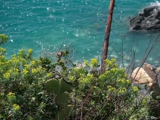 Panoramic Villa, 2 Yatak Odası, Veranda, Deniz Manzaralı