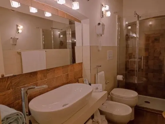 Superior Tek Büyük Yataklı Oda