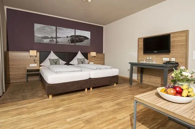 Comfort Büyük Yataklı Tek Kişilik Oda, Engellilere Uygun, Sigara İçilmez
