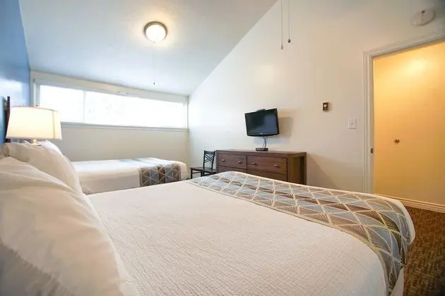 Çatı Katı (Loft), 1 Yatak Odası