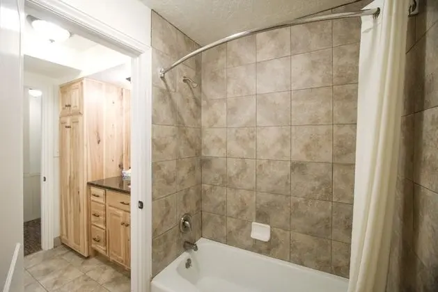 Çatı Katı (Loft), 1 Yatak Odası