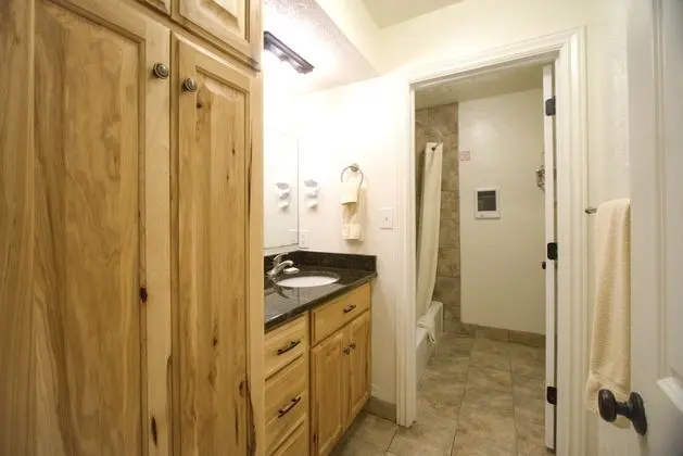 Çatı Katı (Loft), 1 Yatak Odası