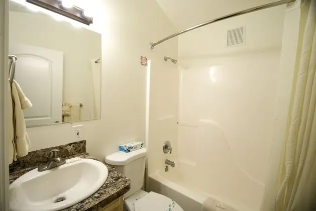 Çatı Katı (Loft), 1 Yatak Odası