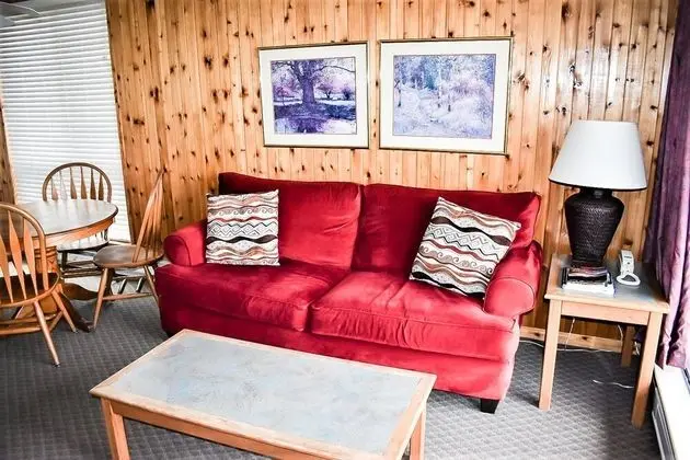 Çatı Katı (Loft), 1 Yatak Odası