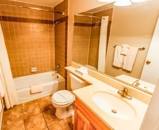 Çatı Katı (Loft), 1 Yatak Odası