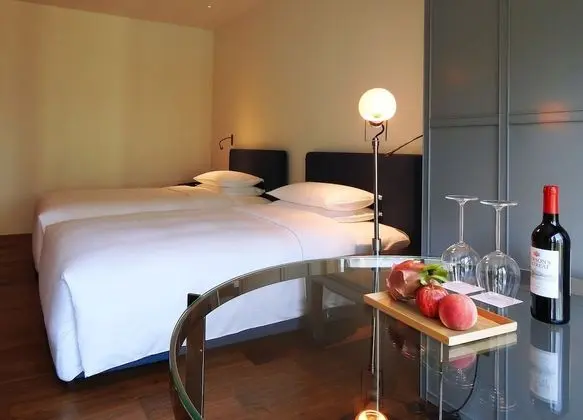 Superior İki Ayrı Yataklı Oda, Şehir Manzaralı