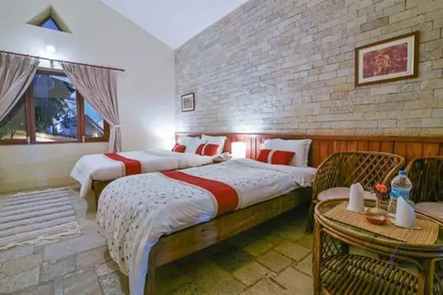 Deluxe İki Ayrı Yataklı Oda, 1 Yatak Odası, Bahçe Manzaralı