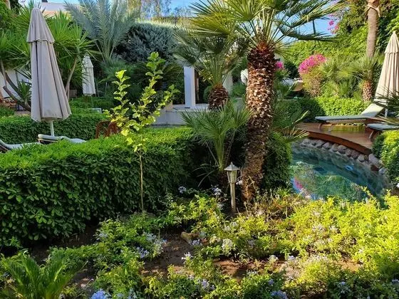 Classic Twin Room, Pool View