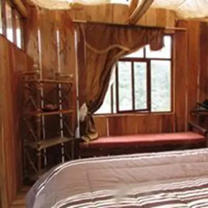 Tek Büyük Yataklı Oda (Tree Room)