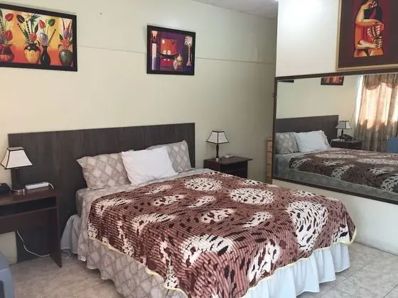 Tek Büyük Yataklı Oda, 1 Büyük (Queen) Boy Yatak, Özel Banyo, Zemin Kat