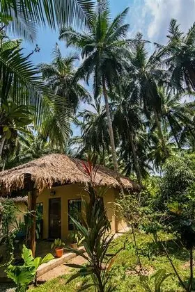Luxury Villa, 1 Yatak Odası
