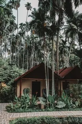 Ocean Suite