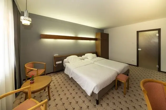 Superior Tek Büyük Yataklı Oda, Balkon