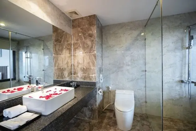 Premium Tek Büyük Yataklı Oda, Şehir Manzaralı