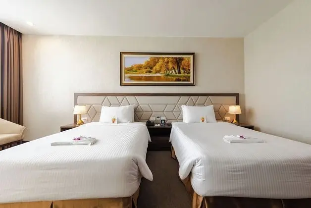 Deluxe İki Ayrı Yataklı Oda, Şehir Manzaralı