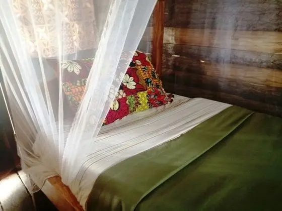 Ortak Ranzalı Oda (Girls/Boys)
